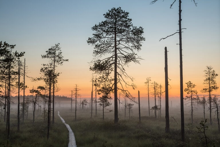patvinsuon kansallispuisto lieksa pitkospuut reitit