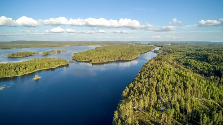 Ruunaan järvi Lieksa